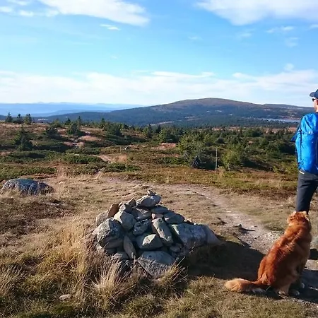 Lägenhet Nordseter