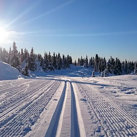 Lägenhet Nordseter Lillehammer